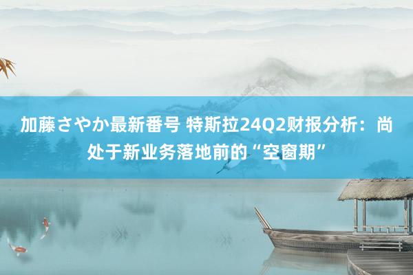 加藤さやか最新番号 特斯拉24Q2财报分析：尚处于新业务落地前的“空窗期”