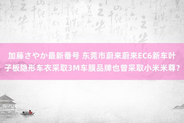 加藤さやか最新番号 东莞市蔚来蔚来EC6新车叶子板隐形车衣采取3M车膜品牌也曾采取小米米尊？