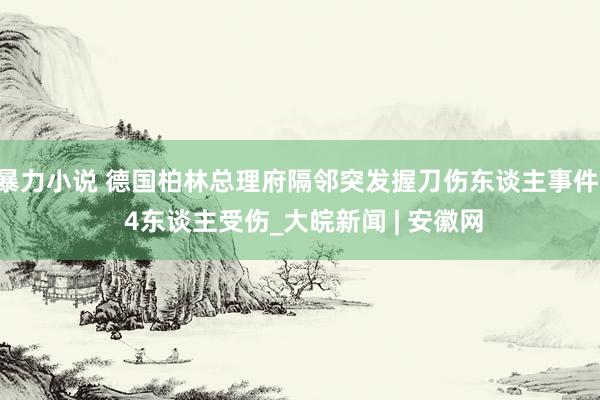 暴力小说 德国柏林总理府隔邻突发握刀伤东谈主事件  4东谈主受伤_大皖新闻 | 安徽网