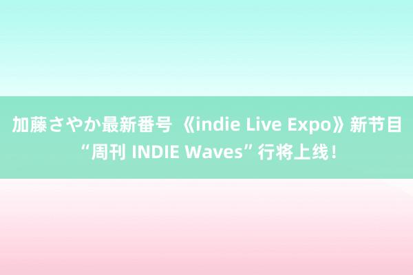 加藤さやか最新番号 《indie Live Expo》新节目“周刊 INDIE Waves”行将上线！