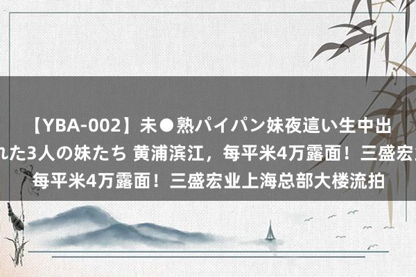 【YBA-002】未●熟パイパン妹夜這い生中出しレイプ 兄に犯された3人の妹たち 黄浦滨江，每平米4万露面！三盛宏业上海总部大楼流拍