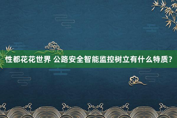 性都花花世界 公路安全智能监控树立有什么特质？