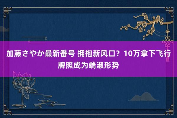 加藤さやか最新番号 拥抱新风口？10万拿下飞行牌照成为端淑形势