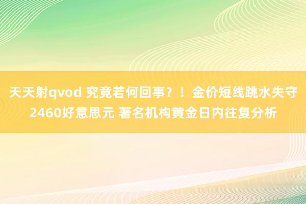 天天射qvod 究竟若何回事？！金价短线跳水失守2460好意思元 著名机构黄金日内往复分析