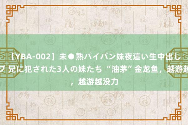 【YBA-002】未●熟パイパン妹夜這い生中出しレイプ 兄に犯された3人の妹たち “油茅”金龙鱼，越游越没力