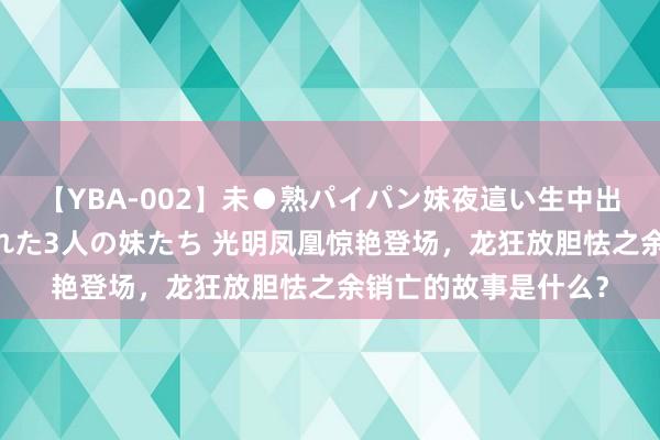 【YBA-002】未●熟パイパン妹夜這い生中出しレイプ 兄に犯された3人の妹たち 光明凤凰惊艳登场，龙狂放胆怯之余销亡的故事是什么？