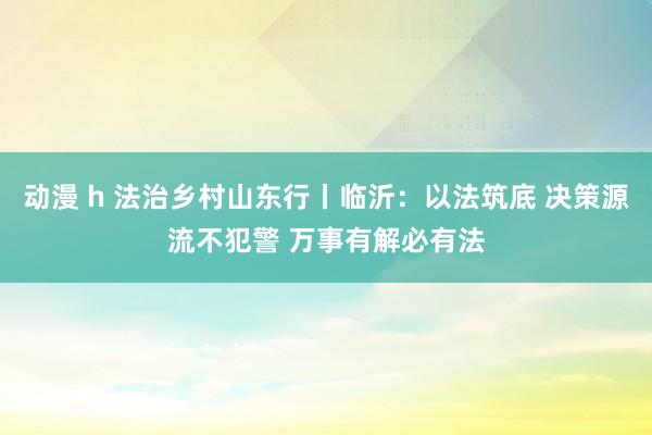 动漫 h 法治乡村山东行丨临沂：以法筑底 决策源流不犯警 万事有解必有法