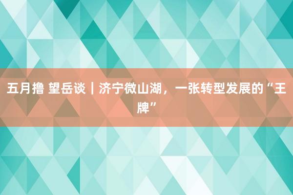 五月撸 望岳谈｜济宁微山湖，一张转型发展的“王牌”