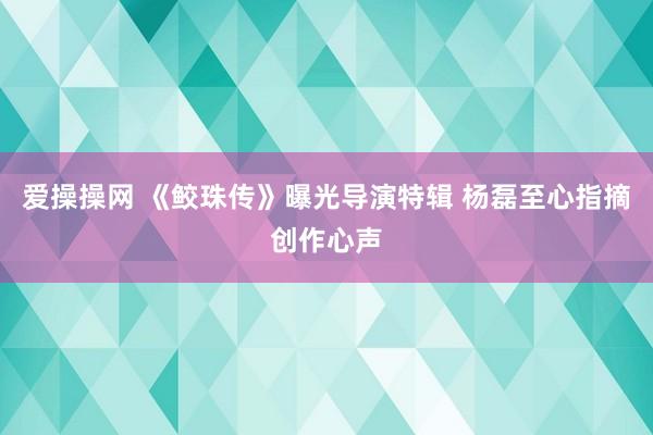 爱操操网 《鲛珠传》曝光导演特辑 杨磊至心指摘创作心声